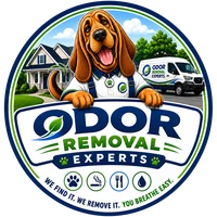 Odor Removal Experts